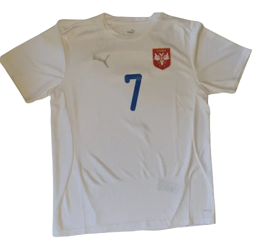  SERBIA EURO 2024 FOOTBALL TRAINING JERSEY - VLAHOVIC 7-4